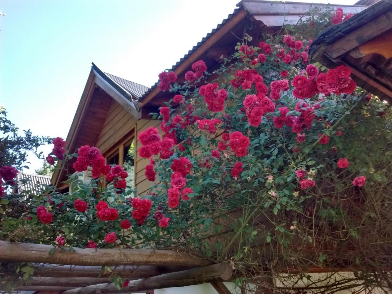 Cabanas Temporada San Martín de los Andes 外观 照片